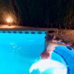 Point Blur_Jul282026_144719